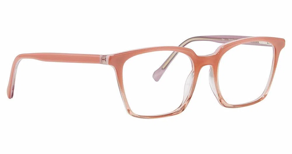 Vera Bradley VBTATE Eyeglasses - view 4